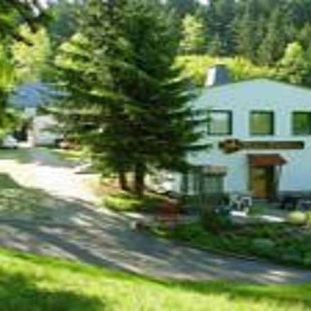 Pension Waldidyll Stützerbach Εξωτερικό φωτογραφία